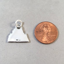 Load image into Gallery viewer, FOREST .925 Sterling Silver Charm Pendant Trees Canopy GA31
