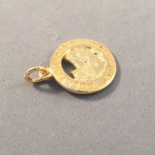 Load image into Gallery viewer, ROCKY MOUNTAIN Gold Plated .925 Sterling Silver Charm Pendant National Park NP74G