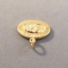 Load image into Gallery viewer, OLYMPIC Gold Plated .925 Sterling Silver Charm Pendant National Park Travel NP50G