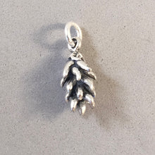 Load image into Gallery viewer, CHILI RISTRA .925 Sterling Silver 3-D Charm Pendant Peppers Vegetable Southwest Garden Mexico DS06