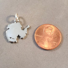 Load image into Gallery viewer, ANTARCTICA MAP .925 Sterling Silver Charm Pendant South Pole Souvenir CT17-AN