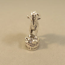 Load image into Gallery viewer, GLACIER MOUNTAIN GOAT .925 Sterling Silver 3-D Charm Pendant National Park Montana Travel pm15