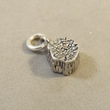 Load image into Gallery viewer, PETRIFIED FOREST STUMP .925 Sterling Silver Charm Arizona National Park Travel Wood Log pm27