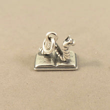 Load image into Gallery viewer, BOOK WORM .925 Sterling Silver 3-D  CHARM Pendant Reading Hobby Library School HB28