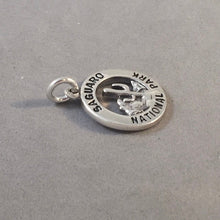 Load image into Gallery viewer, SAGUARO National Park .925 Sterling Silver Charm Pendant Arizona Cactus Tucson np52