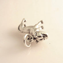 Load image into Gallery viewer, Sale! PIT BULL .925 Sterling Silver 3-D Charm Pendant Dog Breed Puppy Pet PitBull dg07