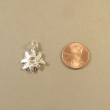 Load image into Gallery viewer, EDELWEISS .925 Sterling Silver Charm Pendant Alpine Flower Alps Austria Switzerland Germany GA09