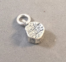 Load image into Gallery viewer, PETRIFIED FOREST STUMP .925 Sterling Silver Charm Arizona National Park Travel Wood Log pm27