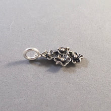 Load image into Gallery viewer, DOGWOOD FLOWERS .925 Sterling Silver 3-D Charm Pendant Blossom North Carolina ga25