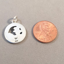 Load image into Gallery viewer, GREAT BASIN National Park .925 Sterling Silver Charm Pendant Nevada Bristlecone Travel Souvenir np61