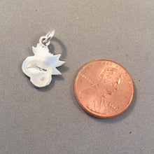 Load image into Gallery viewer, ORANGES .925 Sterling Silver Charm Pendant Fruit Florida California Seville Food Kitchen KT51