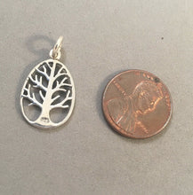 Load image into Gallery viewer, Sale! WINTER TREE in OVAL .925 Sterling Silver Charm Pendant Dead Garden Branches Maple Oak Haunted Forest 925 SL17K