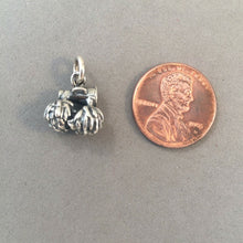 Load image into Gallery viewer, Sale! POM POM'S & MEGAPHONE .925 Sterling Silver 3-D Charm Pendant Sports Cheer Cheerleader Squad SL81F