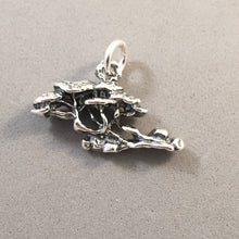 Load image into Gallery viewer, DIVI DIVI TREE .925 Sterling Silver 3-D Charm Pendant Wanapata Aruba Garden ga49