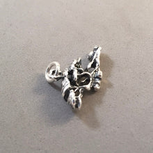 Load image into Gallery viewer, DIVI DIVI TREE .925 Sterling Silver 3-D Charm Pendant Wanapata Aruba Garden ga49