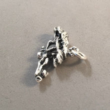 Load image into Gallery viewer, DIVI DIVI TREE .925 Sterling Silver 3-D Charm Pendant Wanapata Aruba Garden ga49