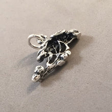 Load image into Gallery viewer, DIVI DIVI TREE .925 Sterling Silver 3-D Charm Pendant Wanapata Aruba Garden ga49