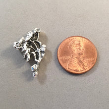 Load image into Gallery viewer, DIVI DIVI TREE .925 Sterling Silver 3-D Charm Pendant Wanapata Aruba Garden ga49