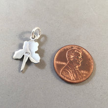 Load image into Gallery viewer, IRIS .925 Sterling Silver 3-D Charm Pendant Bloom Flower Garden Spring Bulb Nature ga12