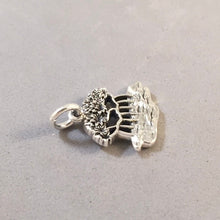 Load image into Gallery viewer, MANGROVE TREE .925 Sterling Silver Charm Pendant Florida Everglades National Park India Vietnam Panama GA42
