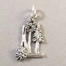 Load image into Gallery viewer, AVENUE OF GIANTS .925 Sterling Silver Charm Pendant Redwoods Shrine Drive Thru Tree Founders Immortal Dyerville Park California TW43