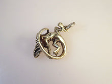 Load image into Gallery viewer, BEARDED DRAGON/ IGUANA .925 Sterling Silver 3-D Charm Pendant Lizard AZ01