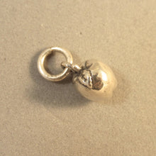 Load image into Gallery viewer, APPLE 3-D .925 Sterling Silver Charm Pendant Fruit Washington New York Michigan Teacher kt67