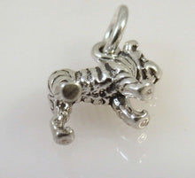 Load image into Gallery viewer, Sale! SHAR-PEI .925 Sterling Silver 3-D Charm Pendant SL12A