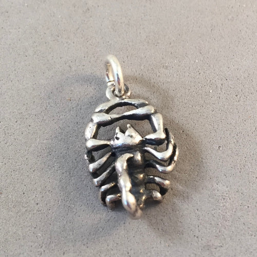 Sale! SCORPION .925 Sterling silver 3-D Charm Pendant Horoscope Astrology Zodiac Scorpio Insect Bug SL63O