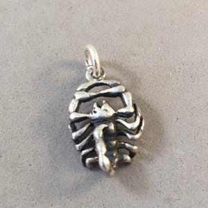 Sale! SCORPION .925 Sterling silver 3-D Charm Pendant Horoscope Astrology Zodiac Scorpio Insect Bug SL63O