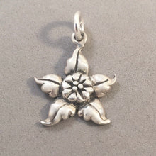 Load image into Gallery viewer, Sale! POINSETTIA FLOWER .925 Sterling Silver Charm Pendant 5 Petal New SL70O