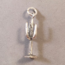 Load image into Gallery viewer, SAGUARO CACTUS 3-D .925 Sterling Silver Charm Pendant National Park Arizona Desert DS12