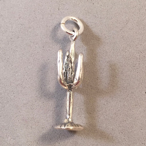 SAGUARO CACTUS 3-D .925 Sterling Silver Charm Pendant National Park Arizona Desert DS12