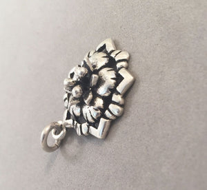 Sale! FLOWER with Outline .925 Sterling Silver 3-D Charm Pendant Flower Garden Nature SL70L