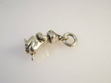 Load image into Gallery viewer, CHIPMUNK WITH NUT .925 Sterling Silver 3-D Charm Pendant Animal AZ09