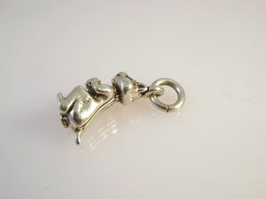 CHIPMUNK WITH NUT .925 Sterling Silver 3-D Charm Pendant Animal AZ09