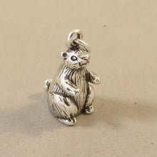 Load image into Gallery viewer, MARMOT OR PRAIRIE DOG .925 Sterling Silver 3-D Charm Pendant Animal Rodent Groundhog Ground Squirrel RP01