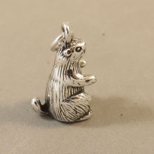 Load image into Gallery viewer, MARMOT OR PRAIRIE DOG .925 Sterling Silver 3-D Charm Pendant Animal Rodent Groundhog Ground Squirrel RP01