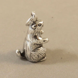 MARMOT OR PRAIRIE DOG .925 Sterling Silver 3-D Charm Pendant Animal Rodent Groundhog Ground Squirrel RP01