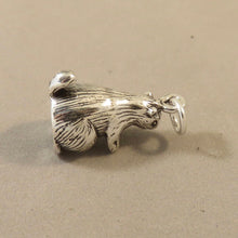 Load image into Gallery viewer, MARMOT OR PRAIRIE DOG .925 Sterling Silver 3-D Charm Pendant Animal Rodent Groundhog Ground Squirrel RP01