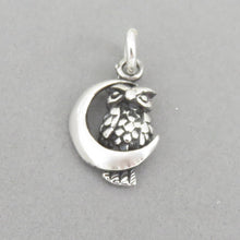 Load image into Gallery viewer, OWL SITTING On The MOON .925 Sterling Silver 3-D Charm Pendant Bird Detailed Wise Owl Crescent bi21