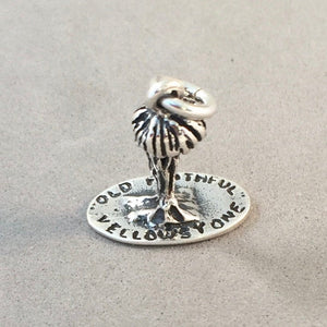 OLD FAITHFUL GEYSER 3-D .925 Sterling Silver Charm Pendant Yellowstone National Park WY pm57