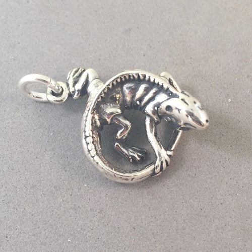 BEARDED DRAGON/ IGUANA .925 Sterling Silver 3-D Charm Pendant  Lizard an14