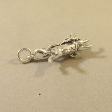 Load image into Gallery viewer, BULL RIDER .925 Sterling Silver 3-D Charm Pendant Rodeo Cowboy Bucking Riding an20