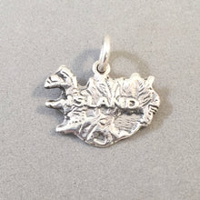 Load image into Gallery viewer, ISLAND MAP (Iceland) .925 Sterling Silver Charm Pendant Reykjavik Blue Lagoon Hekla Volcano TN12