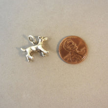 Load image into Gallery viewer, Sale! JACK RUSSELL TERRIER .925 Sterling Silver 3-D Charm Pendant Dog Breed Puppy Pet Rat Fox dg15