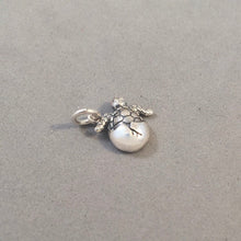 Load image into Gallery viewer, HATCHING Baby SEA TURTLE Small .925 Sterling Silver Tiny Charm Pendant Beach Ocean Egg nt34