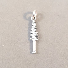 Load image into Gallery viewer, FIR TREE .925 Sterling Silver Charm Pendant Double Sided Evergreen Arboretum Forest Park ga20