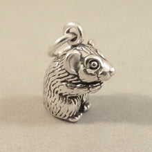 Load image into Gallery viewer, HAMSTER .925 Sterling Silver 3-D Charm Pendant Mouse Rat Gerbil Pocket Gopher Prairie Dog AZ03