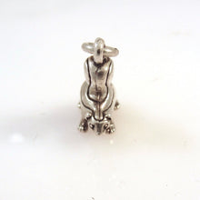 Load image into Gallery viewer, SKUNK .925 Sterling Silver 3-D Charm Pendant Animal tail Up Spaying FF01